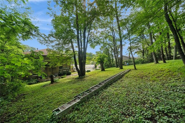 15 Old Saxonburg Blvd, West Deer, PA 15084 - view of green lawn
