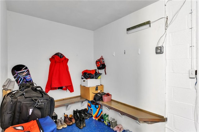 2128 Stoops Ct, Apollo Boro, PA 15673 - view of storage