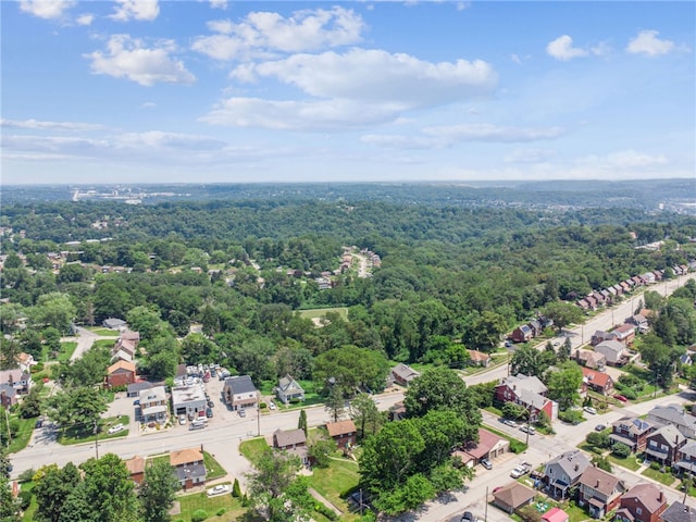 4075 Greensburg Pike, Wilkins Twp, PA 15221 - aerial view of residential area featuring a forest