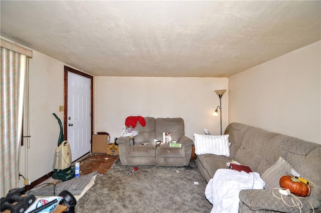 517 S 3rd Ave, Elizabeth Twp/Boro, PA 15037 - living room featuring carpet