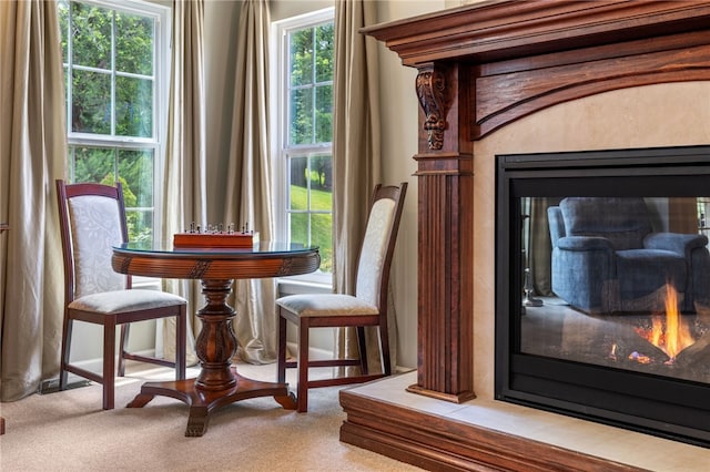 113 Great Rock Dr, Bethel Park, PA 15102 - detailed view of carpet flooring and a glass covered fireplace