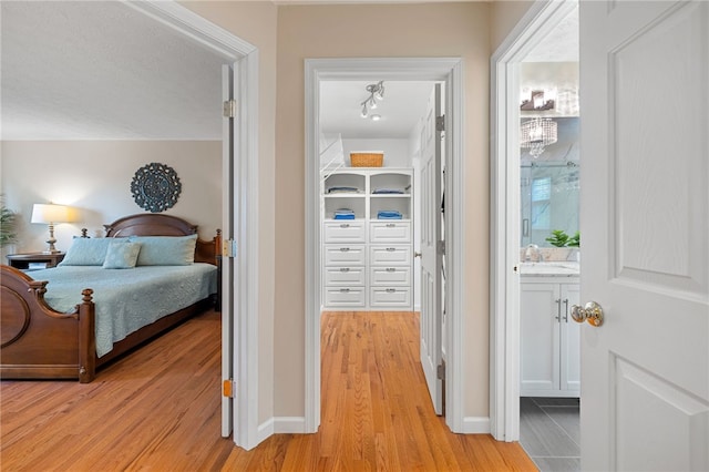 113 Great Rock Dr, Bethel Park, PA 15102 - bedroom featuring light wood-style floors and ensuite bathroom