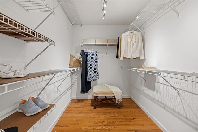113 Great Rock Dr, Bethel Park, PA 15102 - walk in closet featuring light wood-style flooring