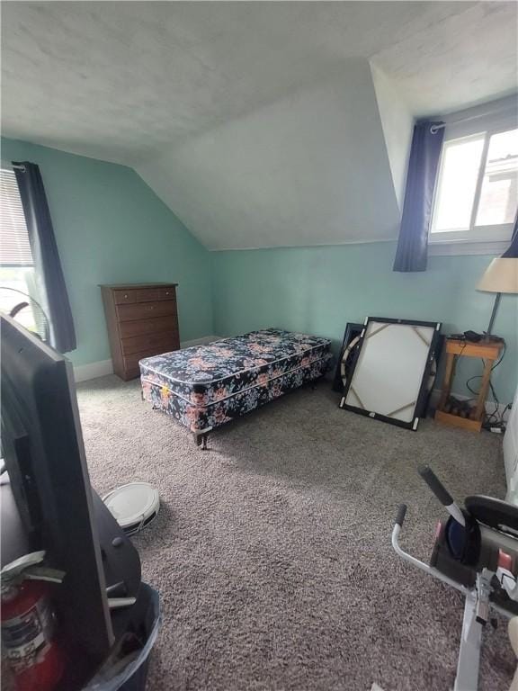 413 River Ave, Aliquippa, PA 15001 - carpeted bedroom featuring lofted ceiling