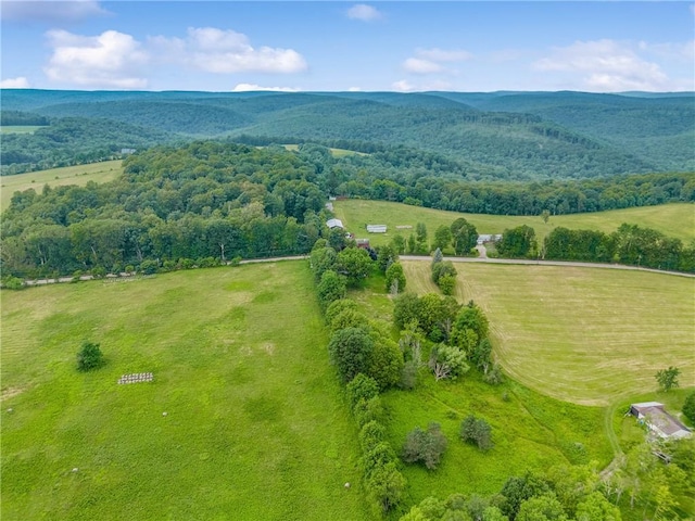 345 Covered Bridge Rd, Middlecreek Twp, PA 15557 - photo 36