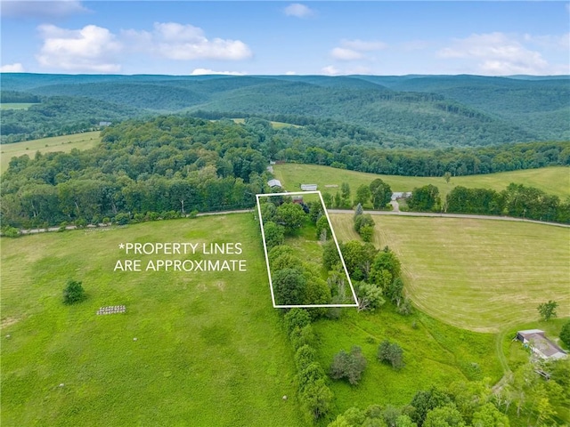 345 Covered Bridge Rd, Middlecreek Twp, PA 15557 - photo 37