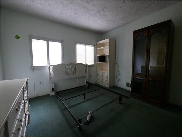 234 Simon Aly, Duquesne, PA 15110 - bedroom with multiple windows, a textured ceiling, and carpet floors
