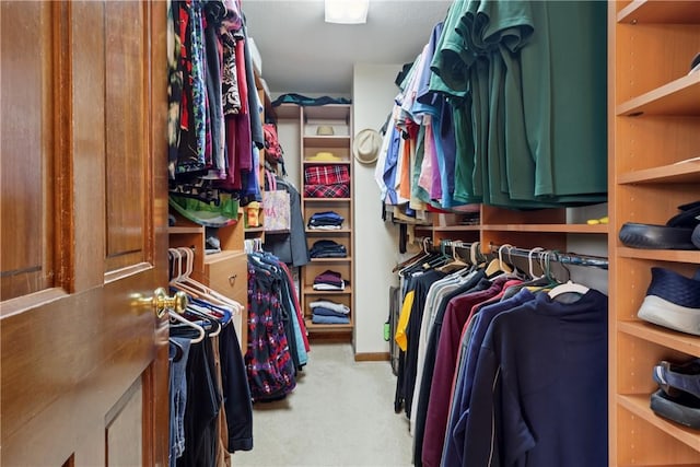 308 Heather Hill Dr, Pine Twp, PA 15044 - walk in closet with light carpet