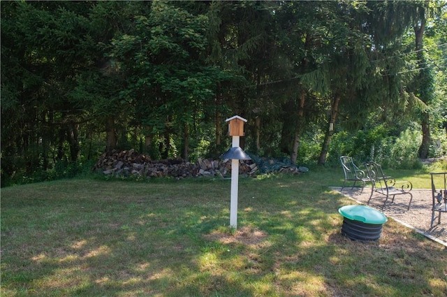 113 Betty Ln, Butler, PA 16002 - view of green lawn