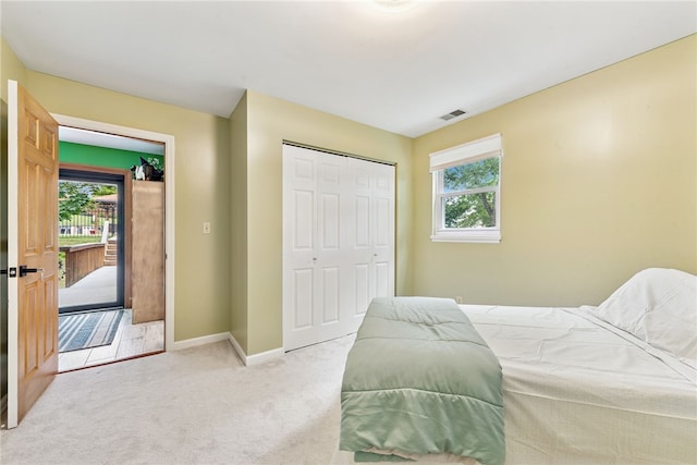 219 Tea Rose Ln, Harrison Twp, PA 15065 - bedroom with carpet and a closet
