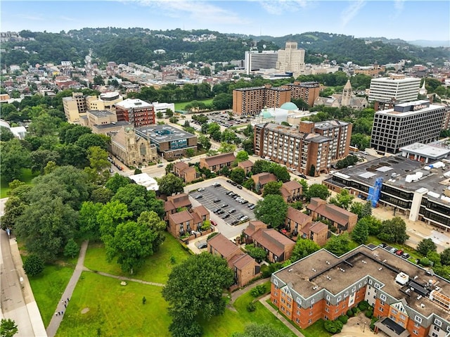 38 Foster Sq, Central North Side, PA 15212 - view of urban area