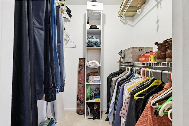 38 Foster Sq, Central North Side, PA 15212 - walk in closet with carpet