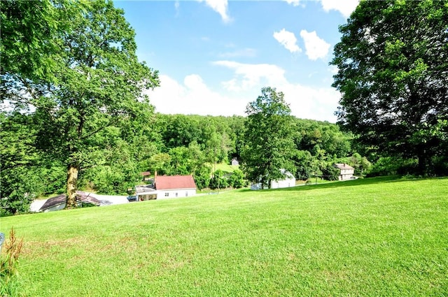 8263 Mentor Rd, Forward Twp, PA 15037 - view of green lawn