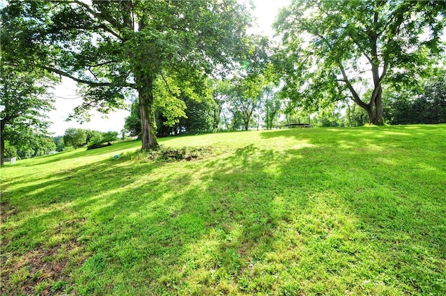 8263 Mentor Rd, Forward Twp, PA 15037 - view of grassy yard