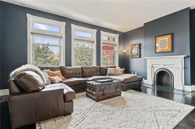 423 Lockhart St, East Allegheny, PA 15212 - living area featuring wood finished floors and a fireplace