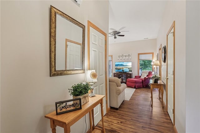 163 Nesbitt Rd, Neshannock Twp, PA 16105 - corridor featuring dark wood-style floors