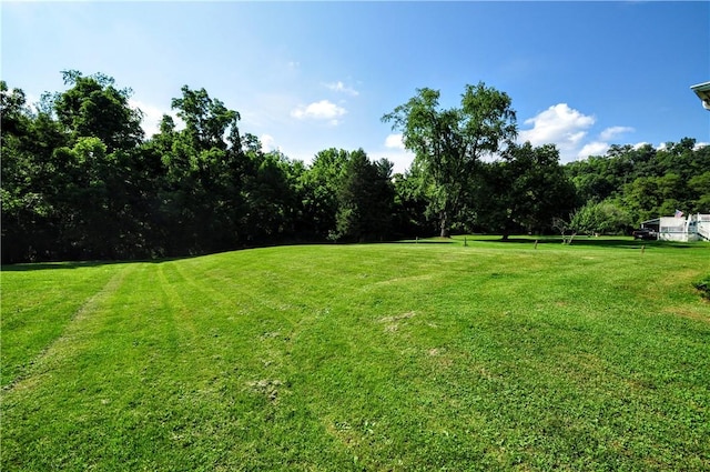 111 Wood St, Rostraver, PA 15089 - view of green lawn