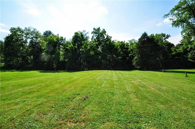 111 Wood St, Rostraver, PA 15089 - view of green lawn