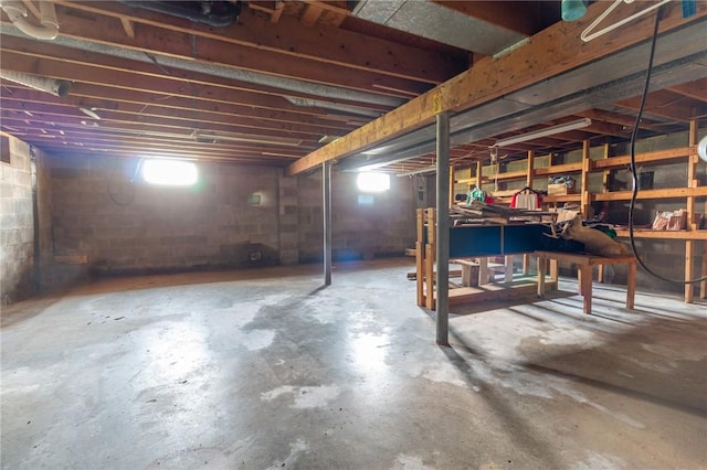109 New Orchard Dr, Frazer, PA 15084 - view of below grade area