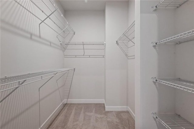 1008 Adair Ave, Middlesex Twp, PA 16059 - walk in closet with light colored carpet