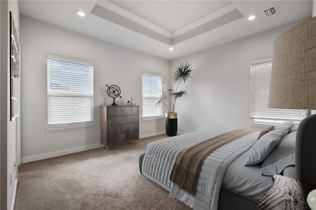 1008 Adair Ave, Middlesex Twp, PA 16059 - carpeted bedroom with a tray ceiling and recessed lighting