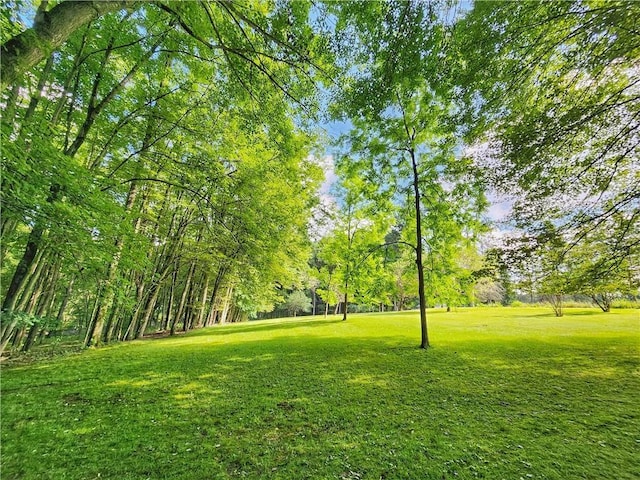 1031 Gameland Rd, Donegal, PA 16025 - view of property's community with a yard