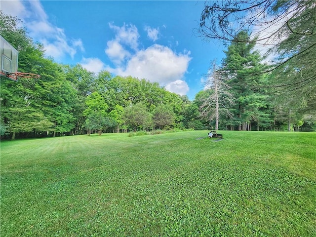 1031 Gameland Rd, Donegal, PA 16025 - view of grassy yard with a view of trees