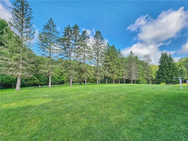 1031 Gameland Rd, Donegal, PA 16025 - view of green lawn