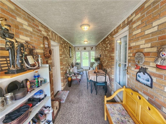 1031 Gameland Rd, Donegal, PA 16025 - living area featuring a textured ceiling, brick wall, carpet flooring, and crown molding