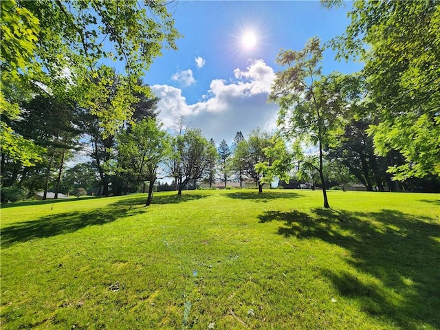 1031 Gameland Rd, Donegal, PA 16025 - view of green lawn
