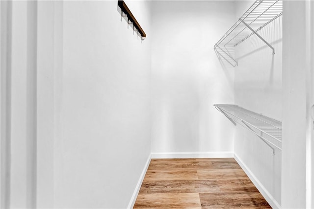 613 Newton Sq, Moon/Crescent Twp, PA 15108 - walk in closet featuring light wood-style flooring