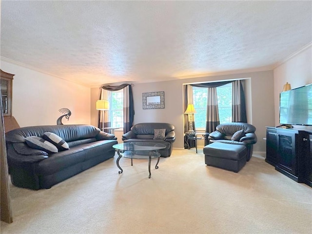 157 Aberdeen Dr, Mccandless, PA 15237 - carpeted living room with crown molding, a textured ceiling, and plenty of natural light