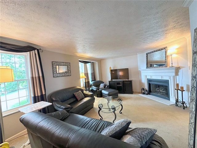 157 Aberdeen Dr, Mccandless, PA 15237 - carpeted living room with plenty of natural light, a textured ceiling, a fireplace with raised hearth, and ornamental molding