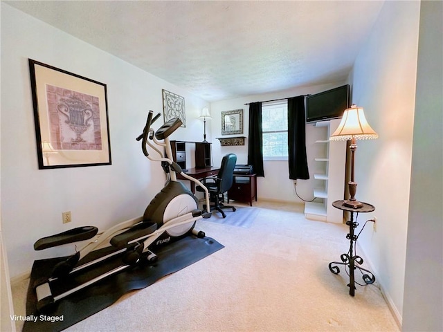 157 Aberdeen Dr, Mccandless, PA 15237 - workout room featuring light carpet