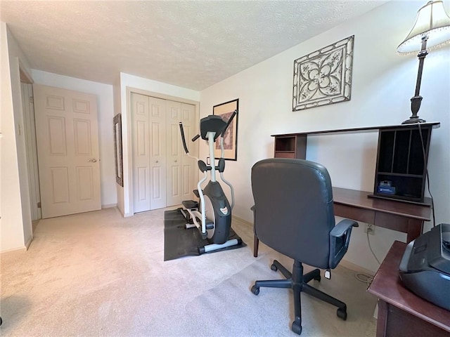 157 Aberdeen Dr, Mccandless, PA 15237 - office area with carpet and a textured ceiling