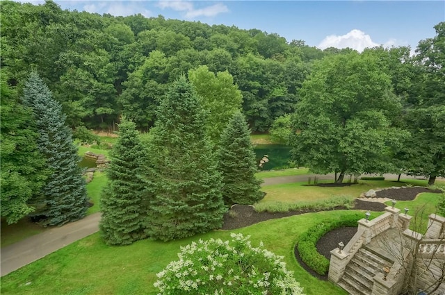 399 Cornetti Rd, Clearfield Twp, PA 16034 - view of community