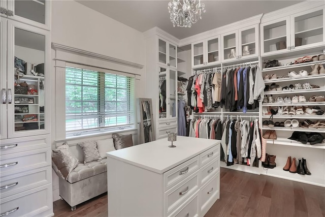 399 Cornetti Rd, Clearfield Twp, PA 16034 - walk in closet featuring dark wood-style flooring and a chandelier