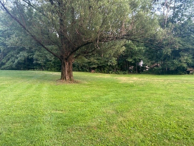242 Coaltown Rd, Cherry Twp, PA 16020 - view of green lawn