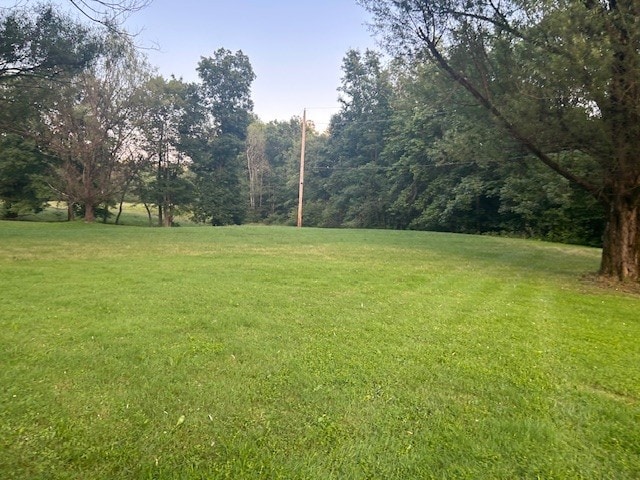 242 Coaltown Rd, Cherry Twp, PA 16020 - view of green lawn