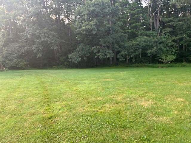 242 Coaltown Rd, Cherry Twp, PA 16020 - view of green lawn featuring a forest view