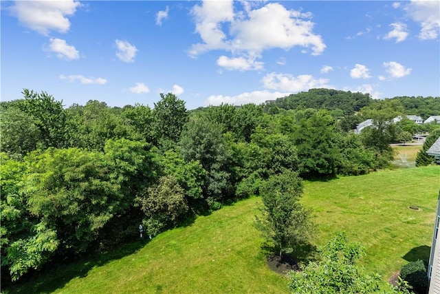 219 Stockton Rdg, Cranberry Twp, PA 16066 - view of undeveloped land