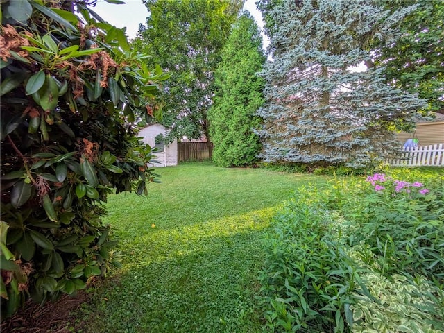 308 E Highland Ave, Ebensburg, PA 15931 - view of yard featuring an outbuilding