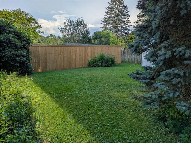 308 E Highland Ave, Ebensburg, PA 15931 - view of yard