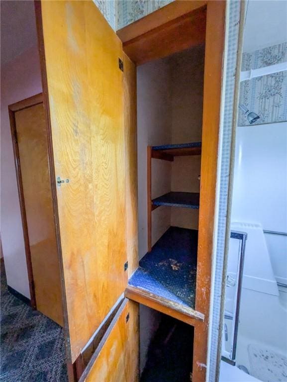 308 E Highland Ave, Ebensburg, PA 15931 - view of closet