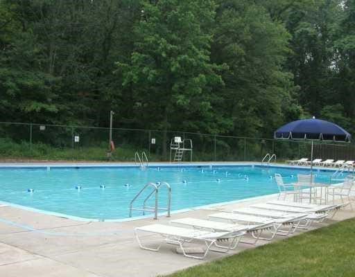 507 Sewickley Heights Dr, Aleppo, PA 15143 - community pool featuring a wooded view