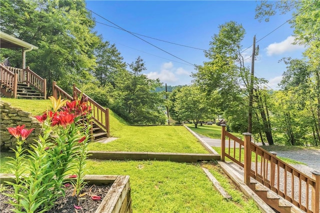 203 Stoney Hollow Rd, Winfield Twp, PA 16023 - view of grassy yard featuring stairway