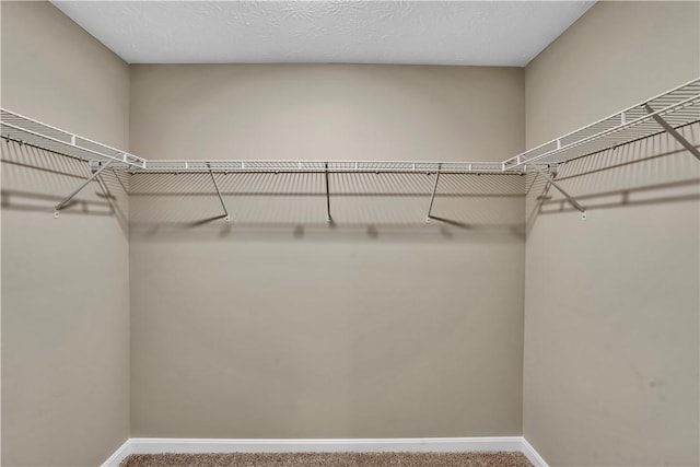 115 Cottonwood Dr, Brighton Twp, PA 15009 - spacious closet featuring carpet