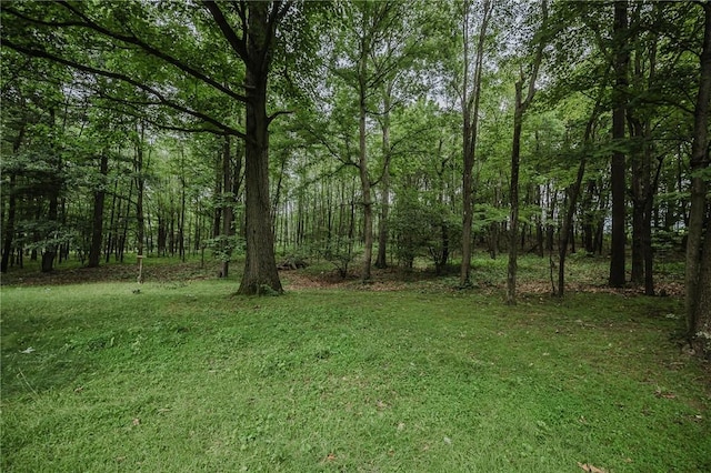 11844 Rte 286th Hwy W, Conemaugh/Young Twps Ind, PA 15748 - photo 14