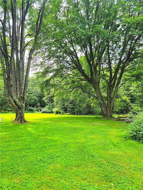 538 Halyday Run Rd, Oil City, PA 16301 - photo 18