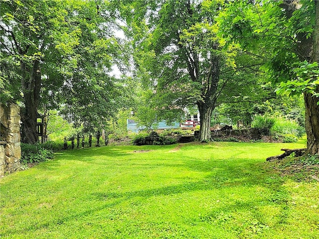 538 Halyday Run Rd, Oil City, PA 16301 - photo 15